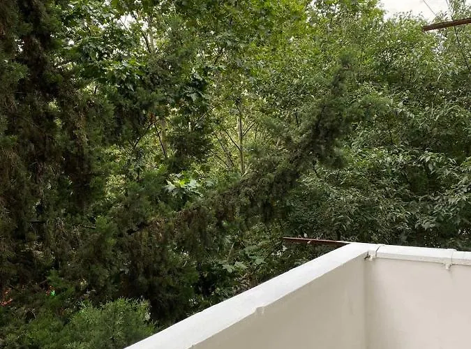 Your Tidy & Affordable Base In Tirane! Apartamento