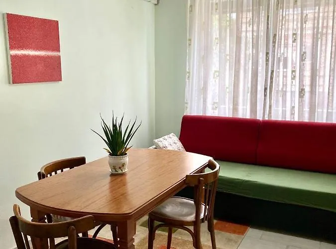 Your Tidy & Affordable Base In Tirane! Apartamento